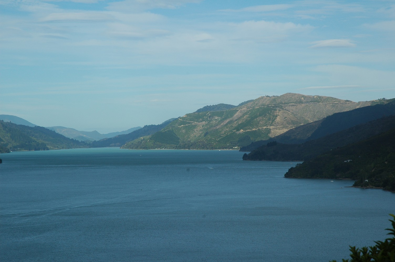 022   22 01   Picton   Nelson